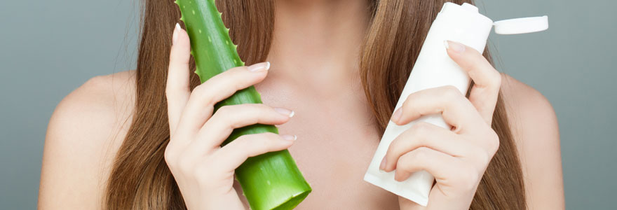 shampoing à l’aloe vera